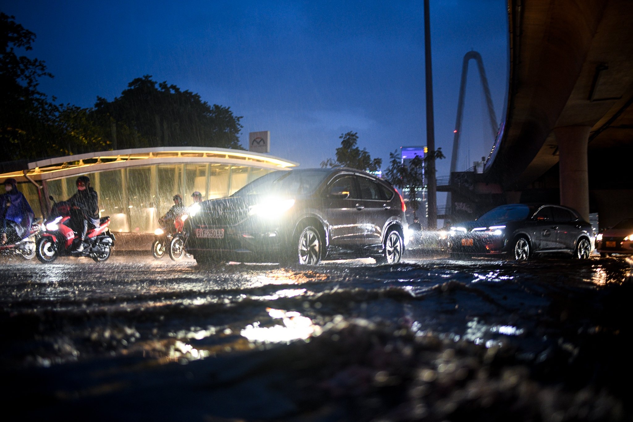 TP.HCM cay do mua ngap anh 2