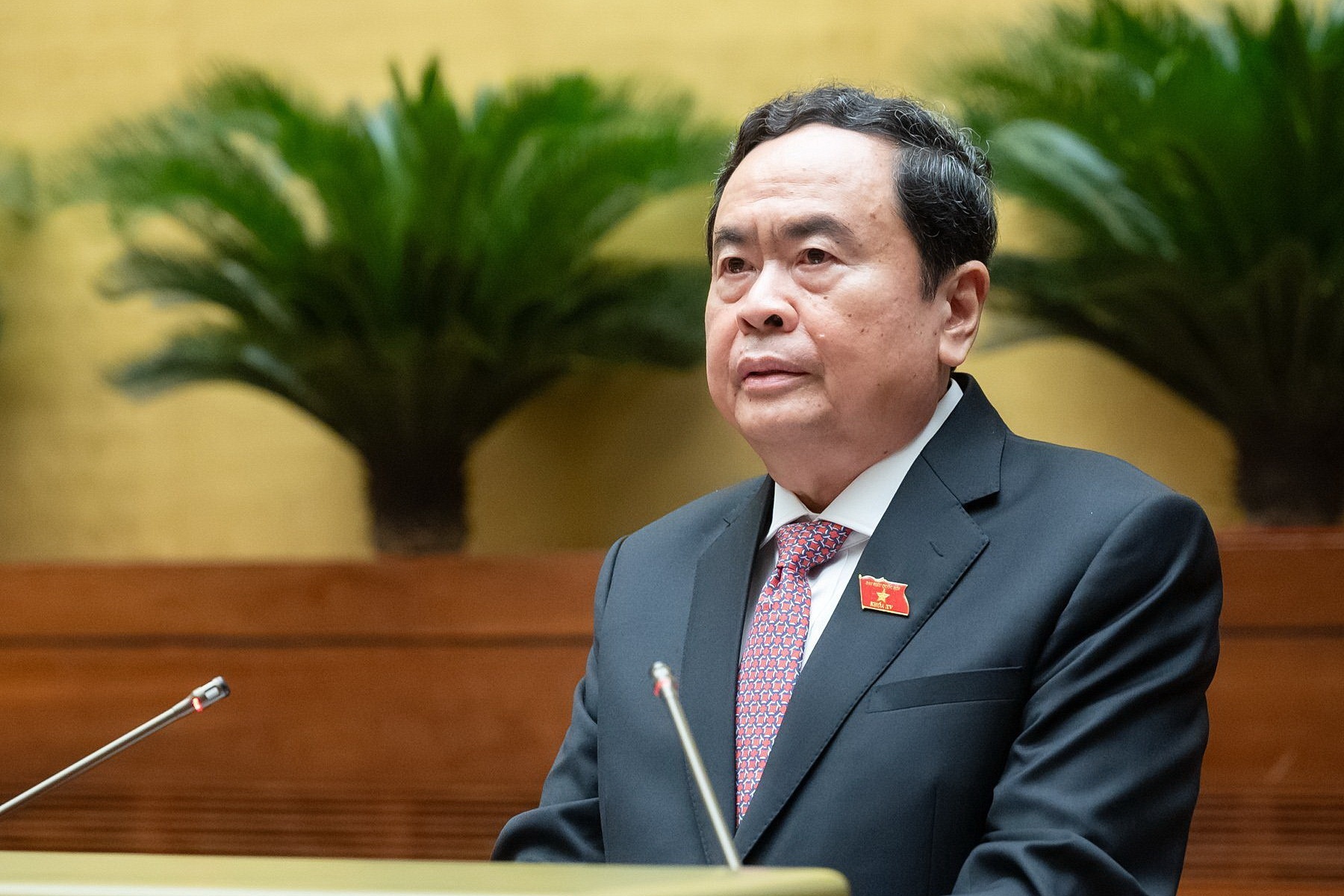 Phat bieu nham chuc cua tan Chu tich Quoc hoi Tran Thanh Man hinh anh