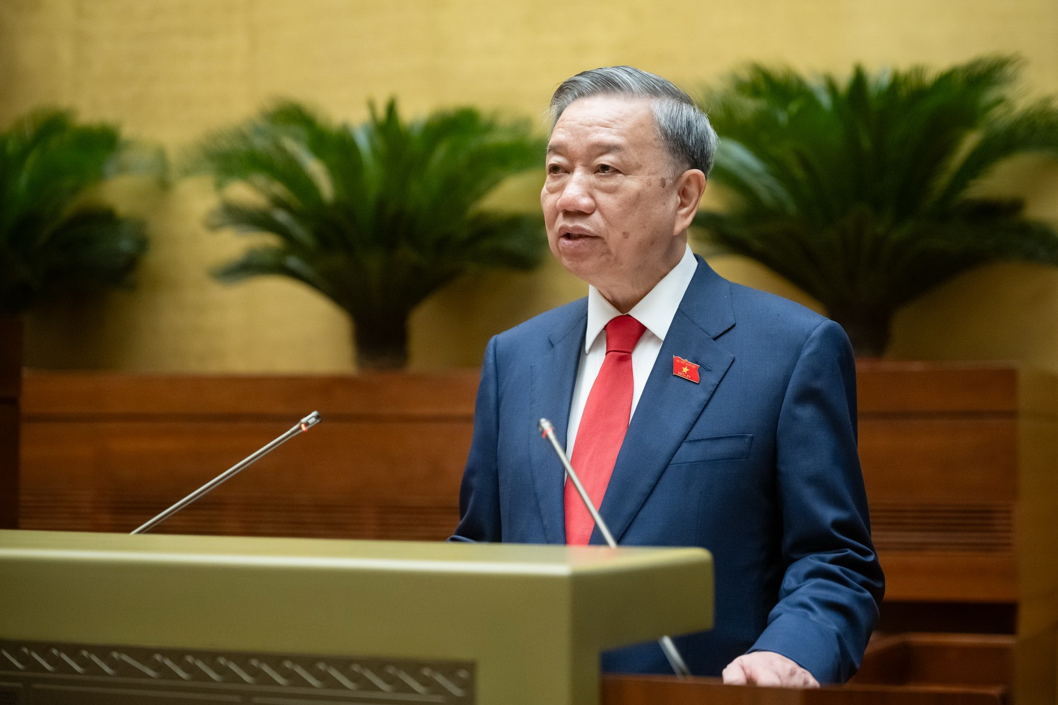 Toan van phat bieu nham chuc cua Chu tich nuoc To Lam hinh anh