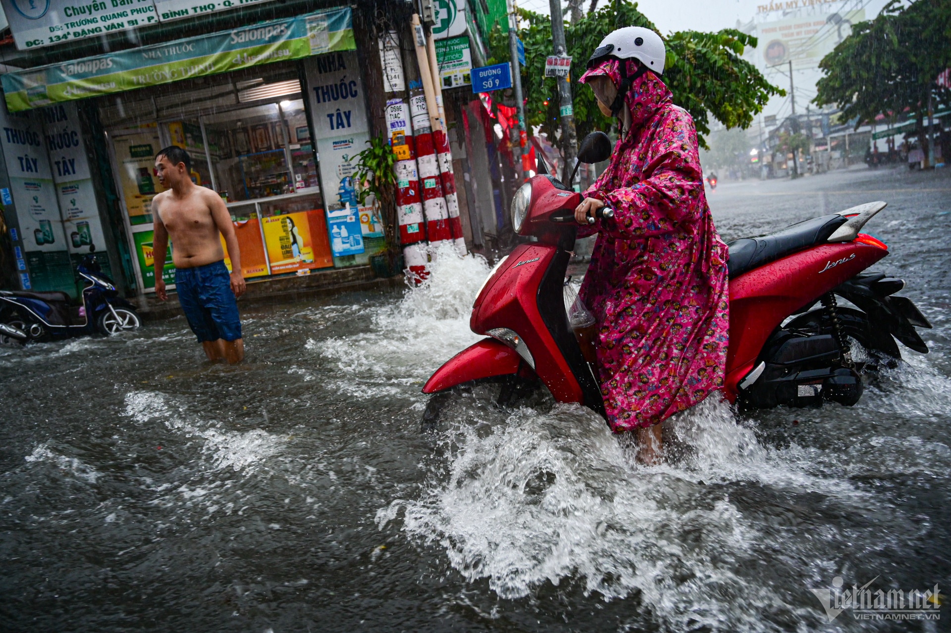 TP.HCM mua ngap anh 6