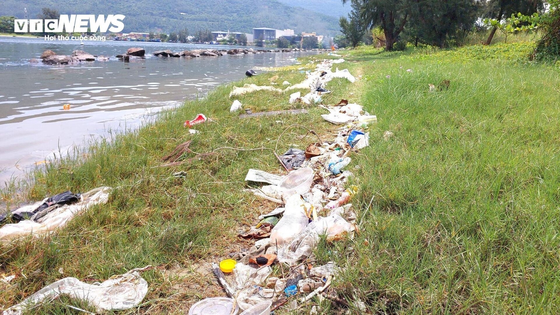 Rac thai Da Nang anh 3