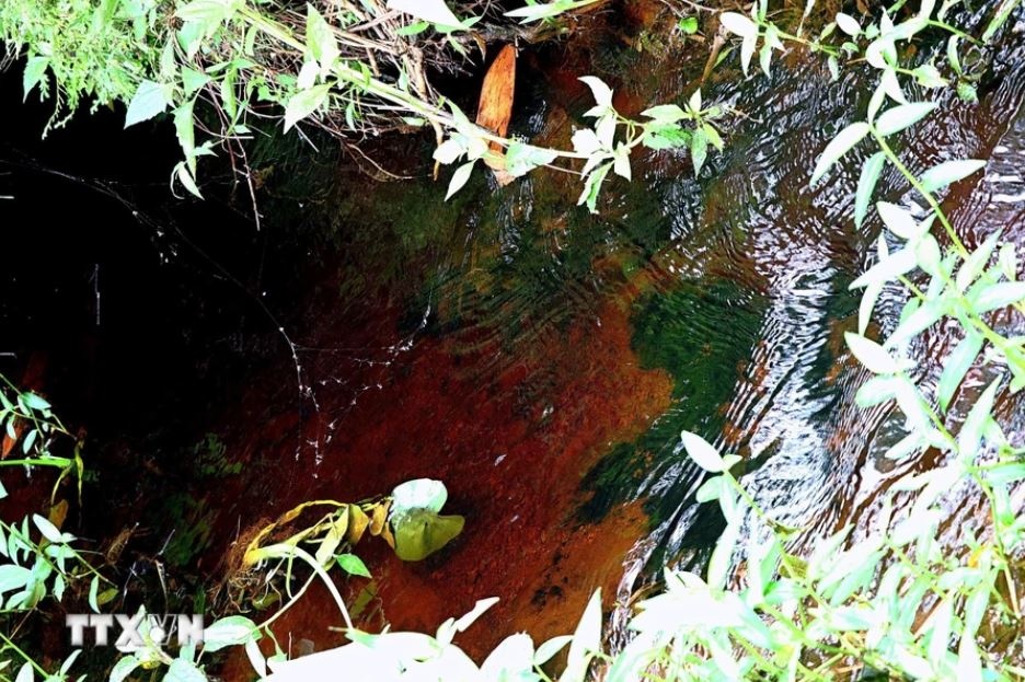 Tan Lac Hoa Binh anh 3