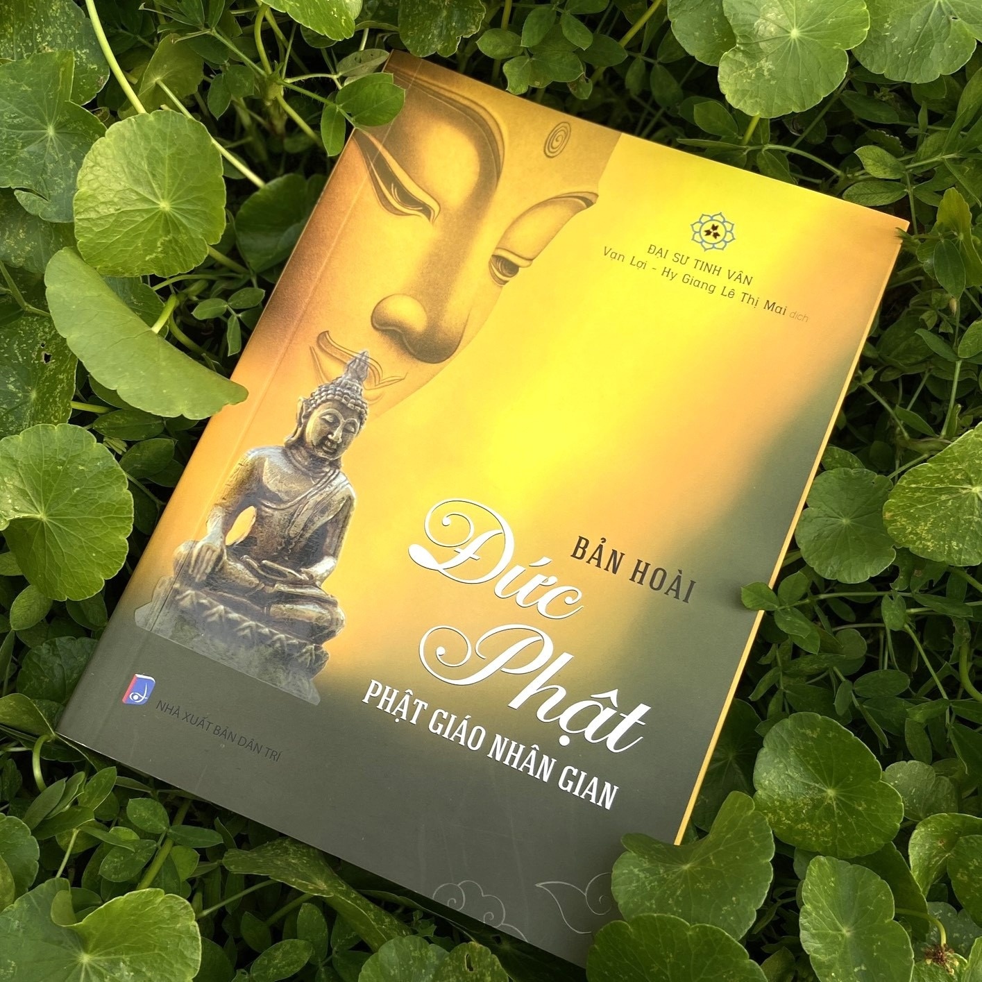 loai bo ta kien anh 1