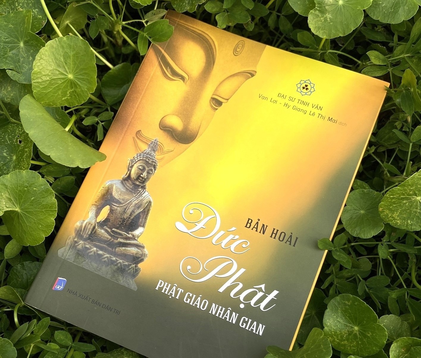 Giup ban loai bo ta kien, me tin hinh anh