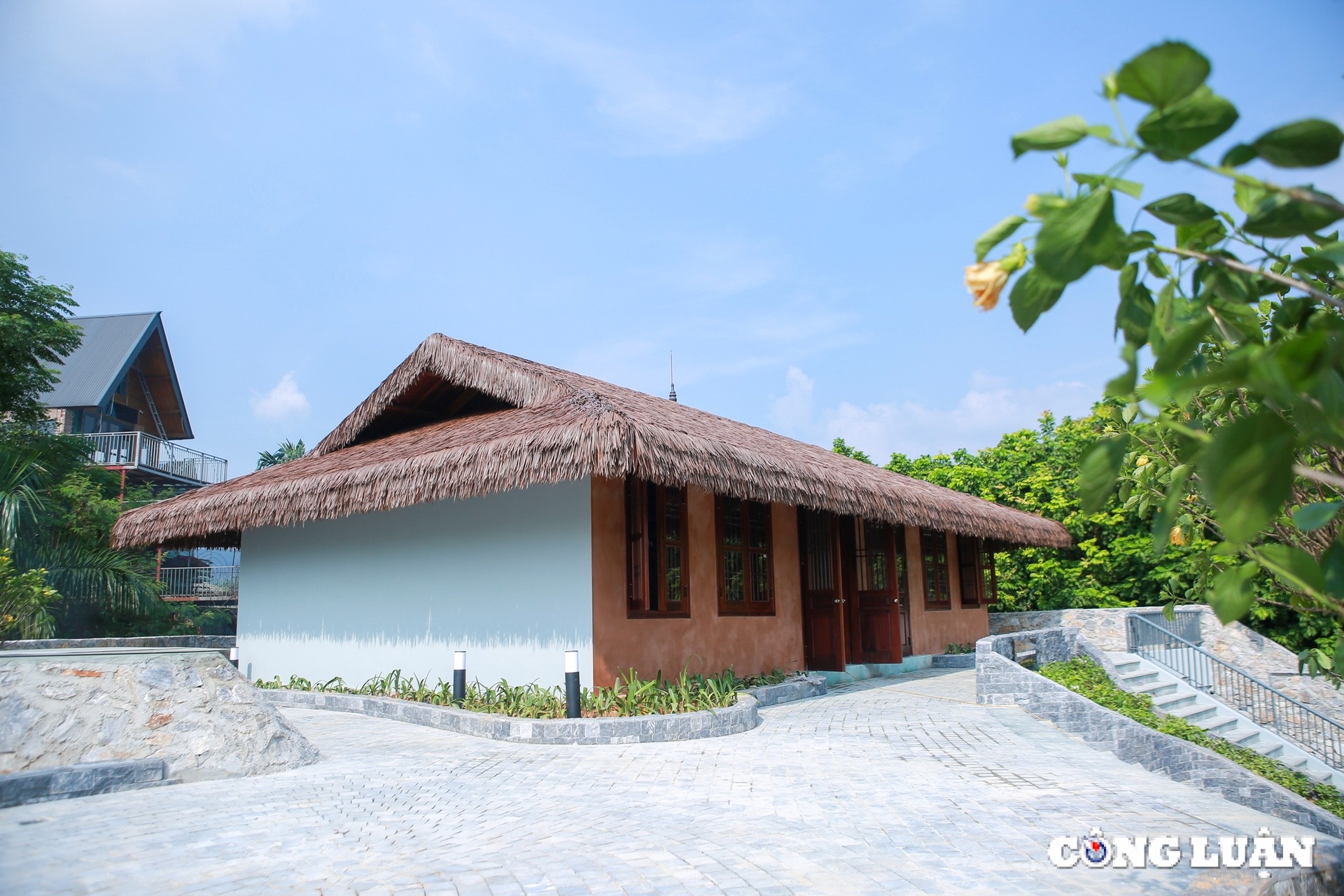 Huynh Thuc Khang anh 8