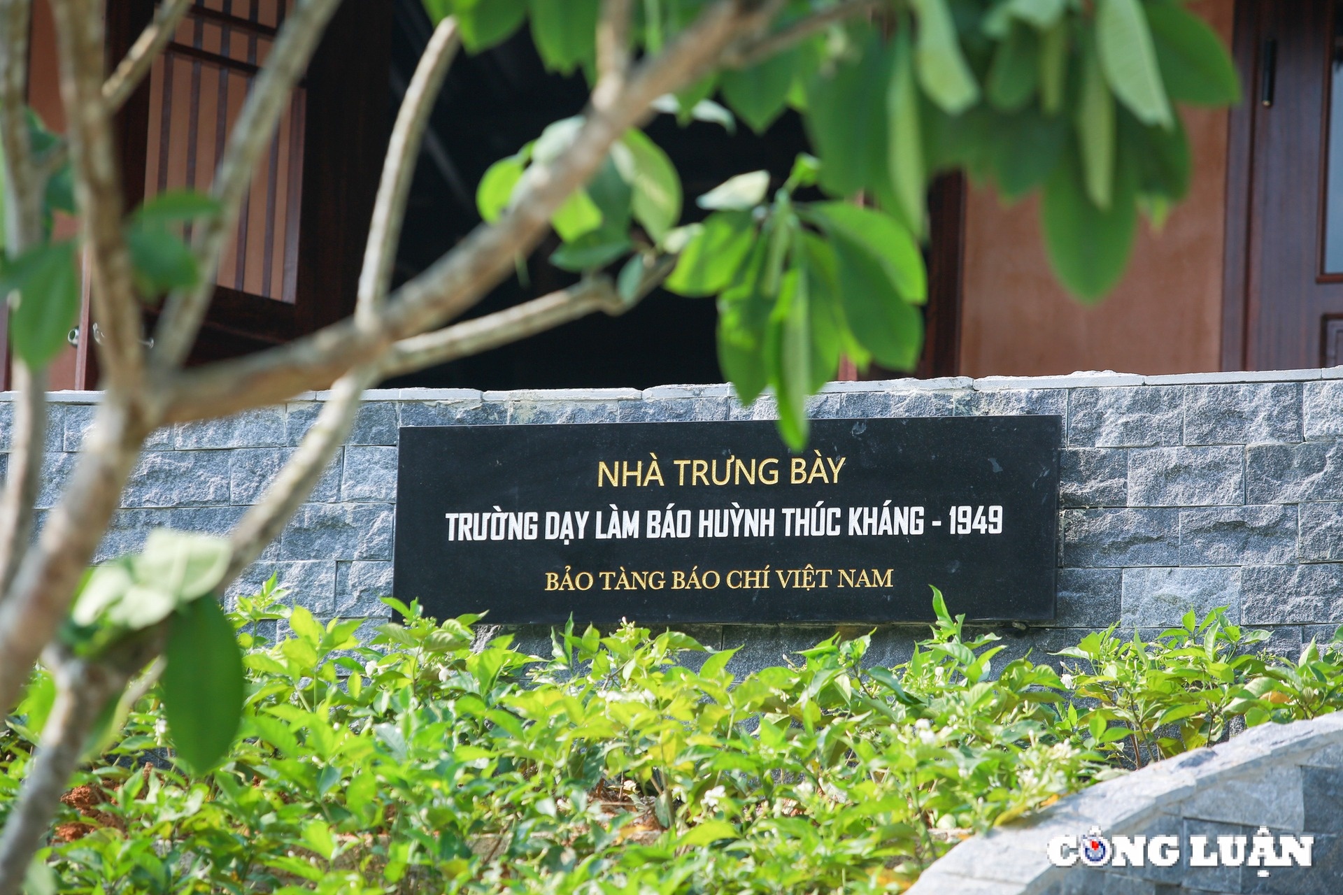 Huynh Thuc Khang anh 7