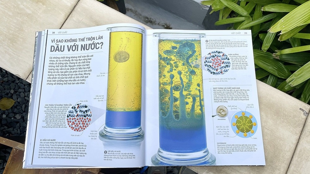 Van vat van hanh anh 2