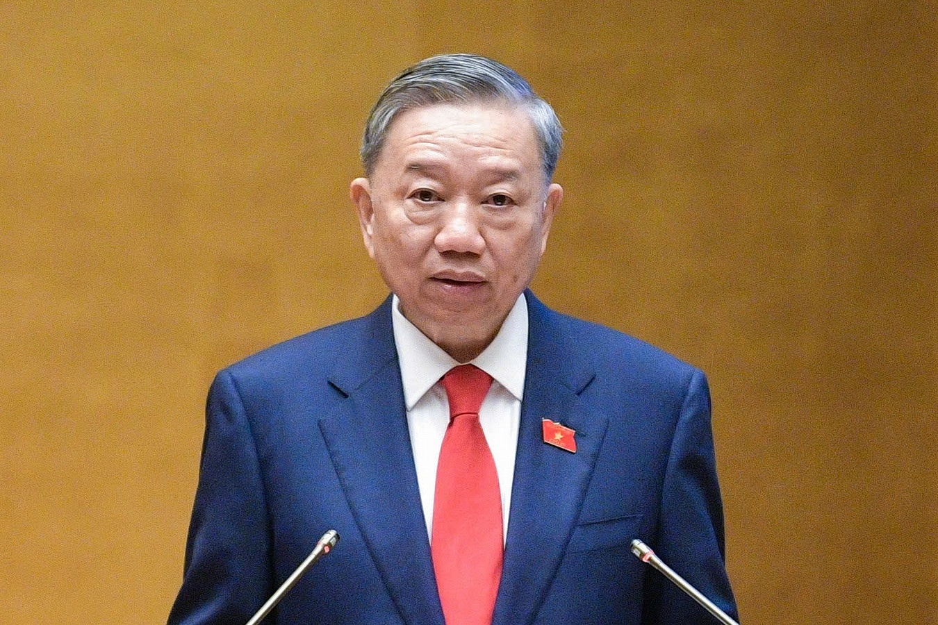 Tieu su tan Tong Bi thu To Lam hinh anh