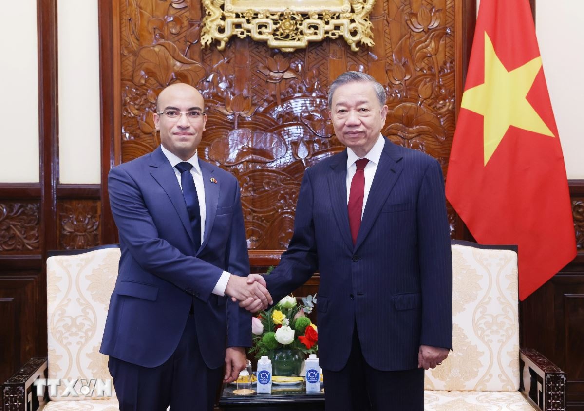 Tong Bi thu To Lam anh 9