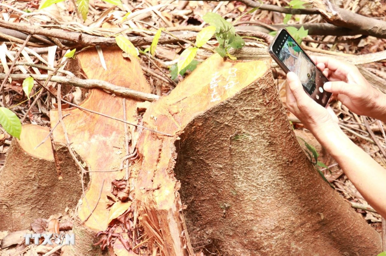 Lam tac Quang Tri anh 2