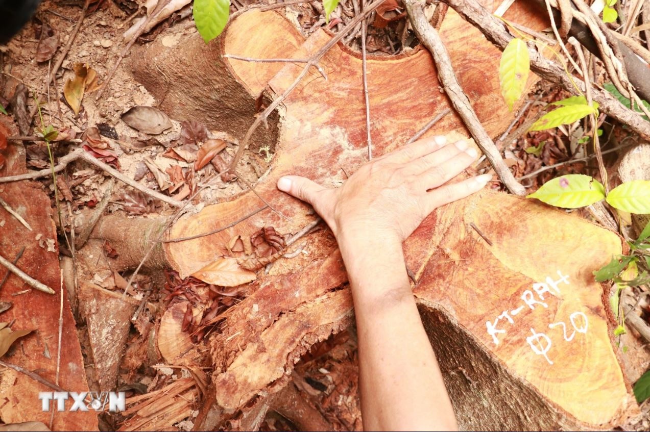 Lam tac Quang Tri anh 4