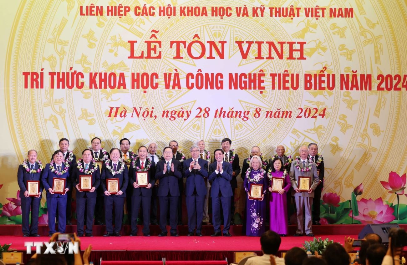 Tran Thanh Man anh 6