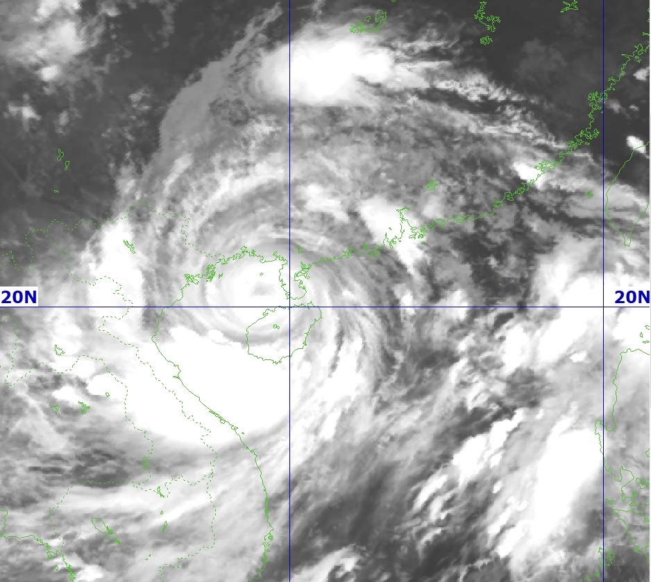 Bao Yagi giam con cap 14 hinh anh