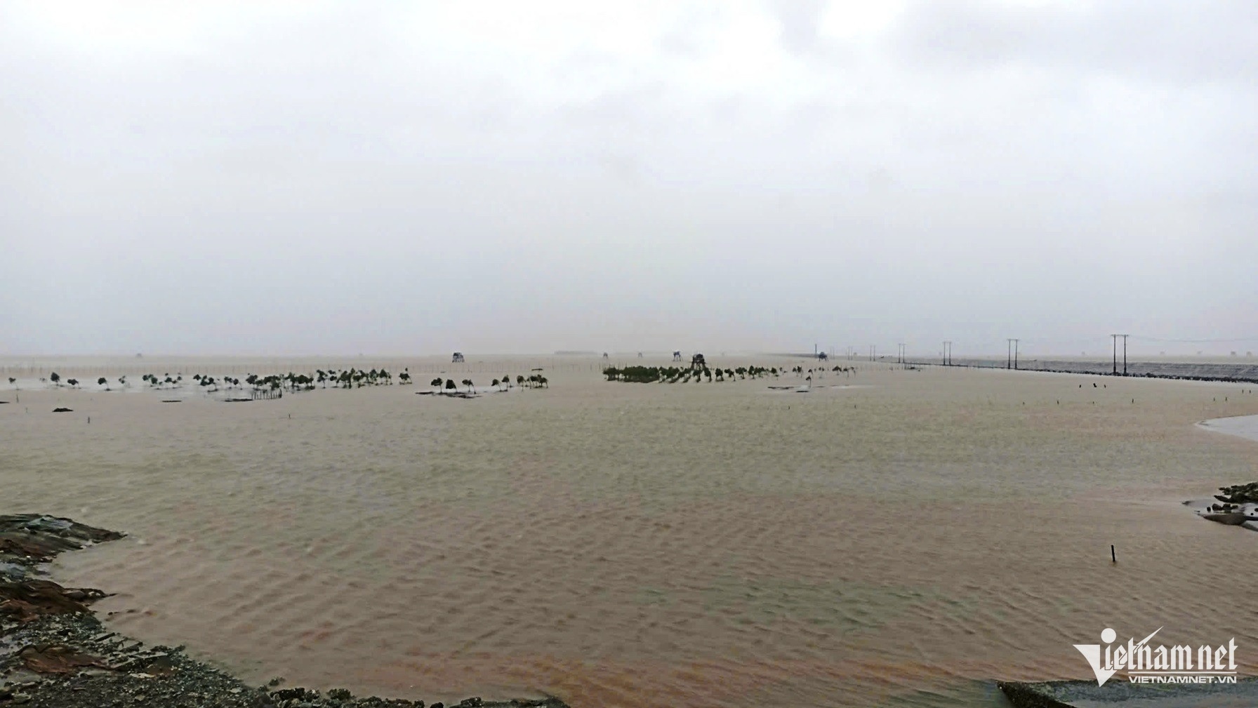 Bao so 3 Yagi anh 19