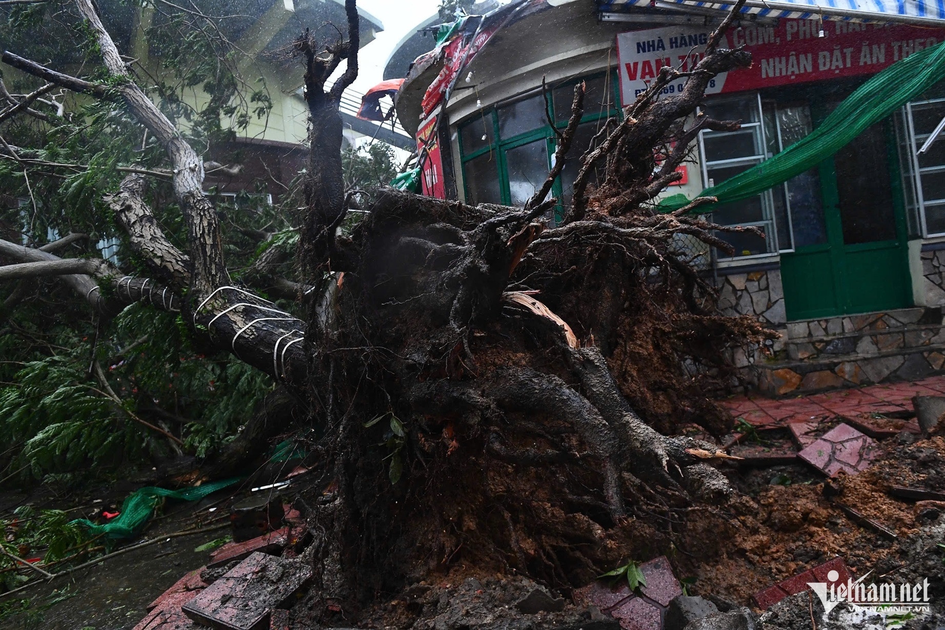 Bão số 3 Yagi ảnh 14 Bao so 3 Yagi anh 14