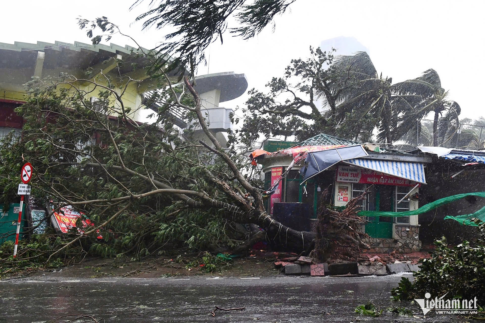 Bão số 3 Yagi ảnh 16 Bao so 3 Yagi anh 16