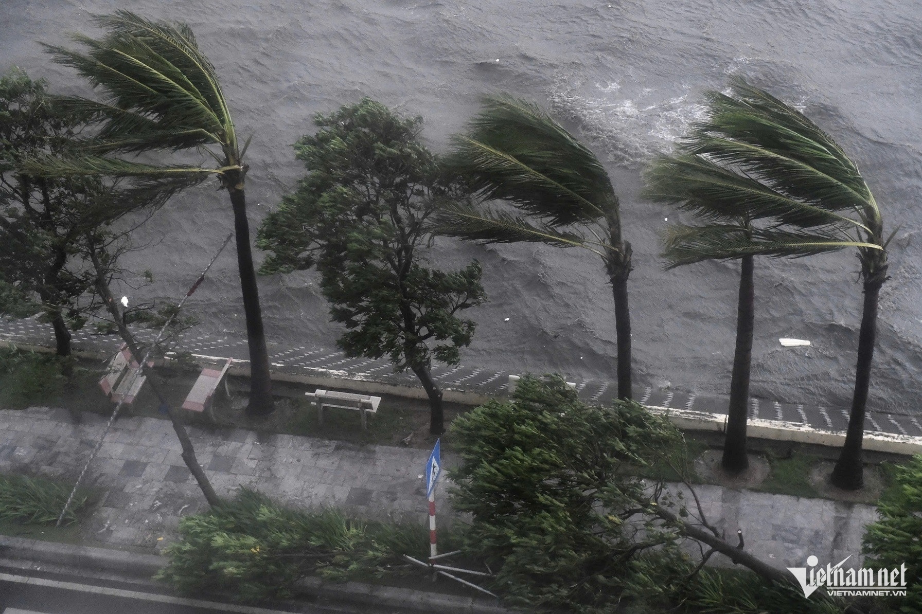 Bao so 3 Yagi anh 10