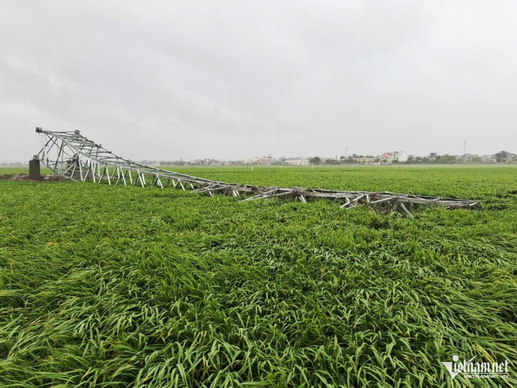 Bão số 3 Yagi ảnh 7 Bao so 3 Yagi anh 7
