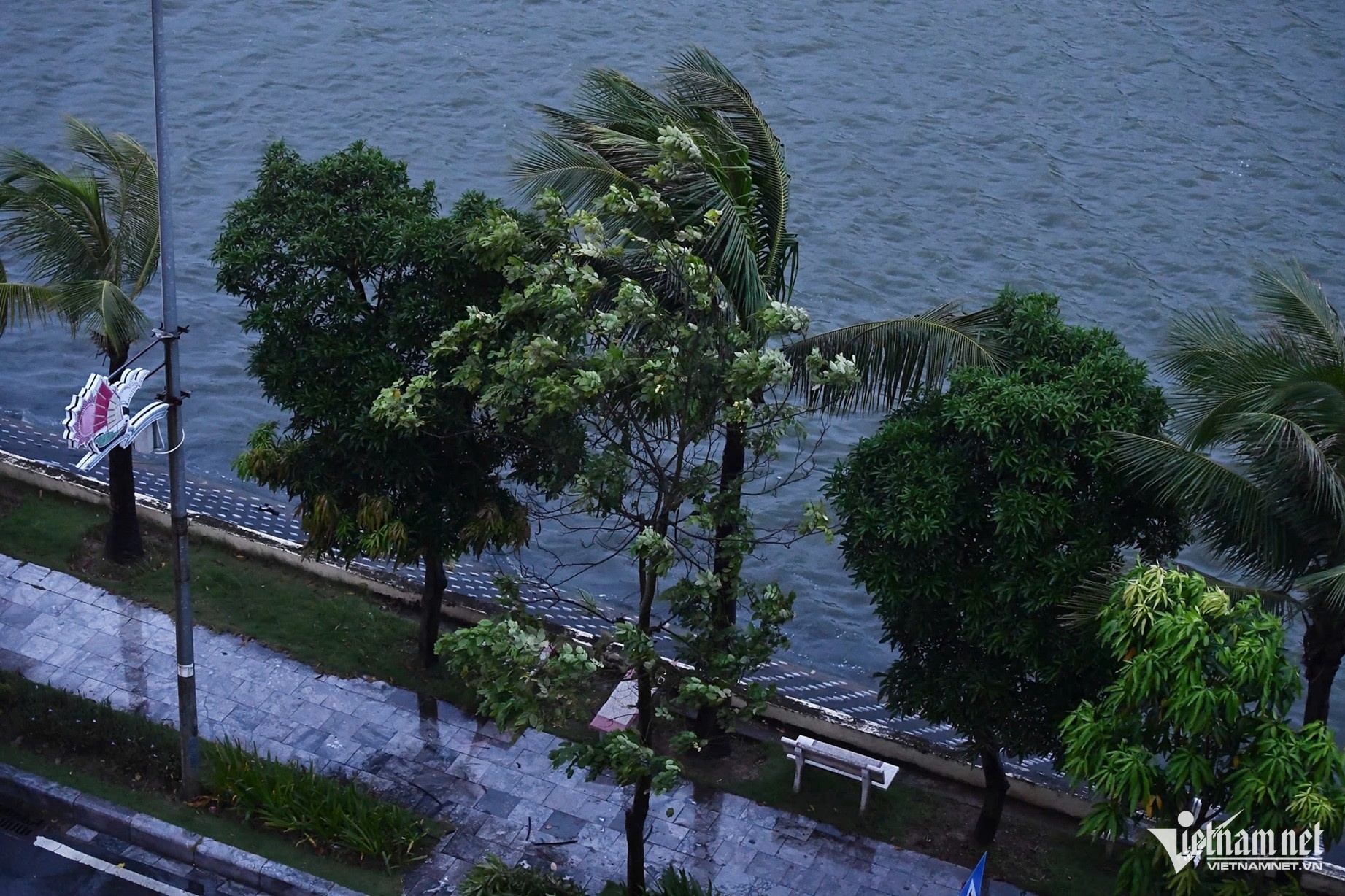 Bão số 3 Yagi ảnh 45 Bao so 3 Yagi anh 45