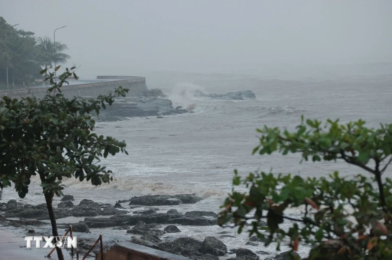 Bao so 3 Yagi anh 30