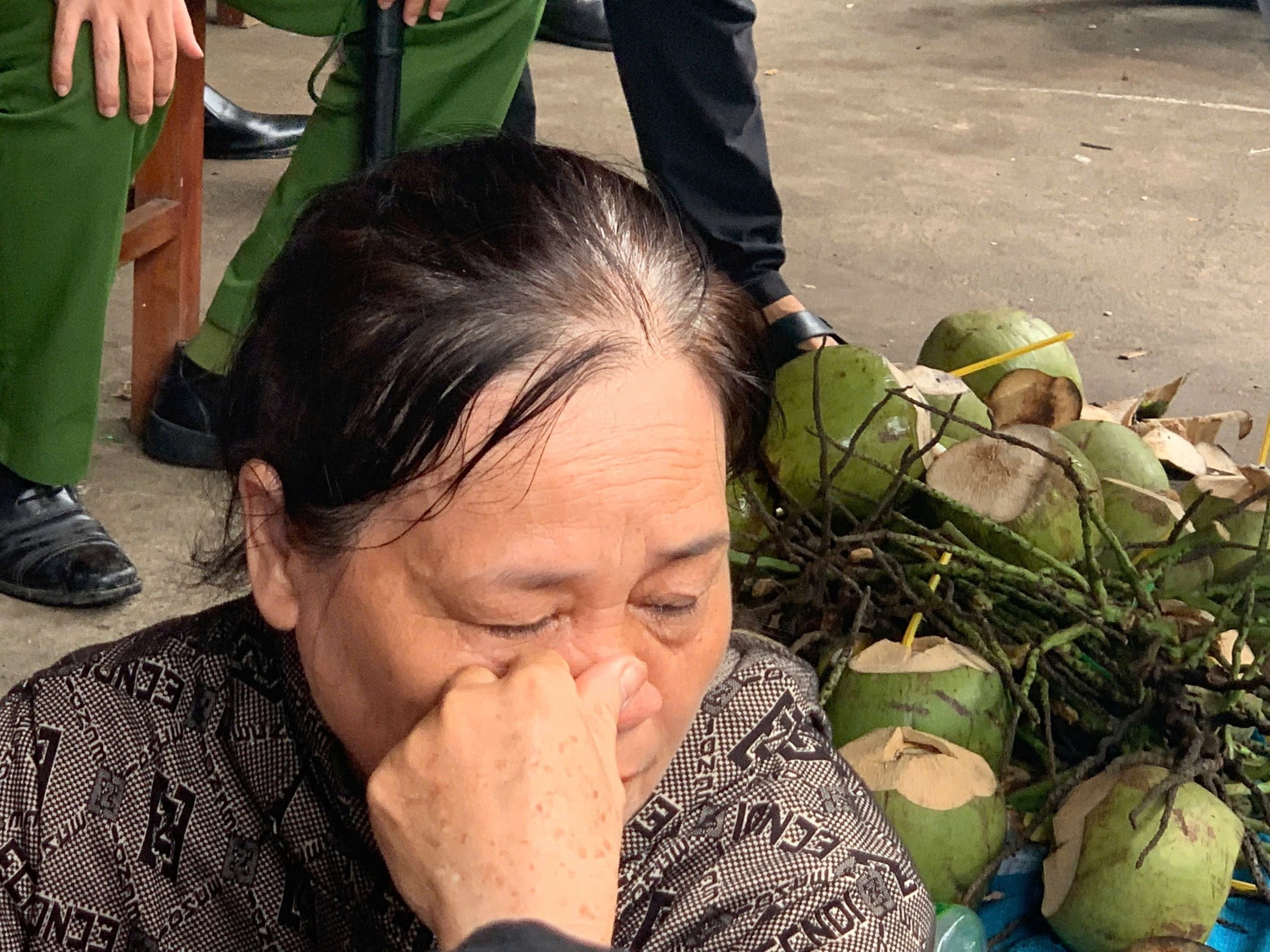 Sap cau Phong Chau anh 8