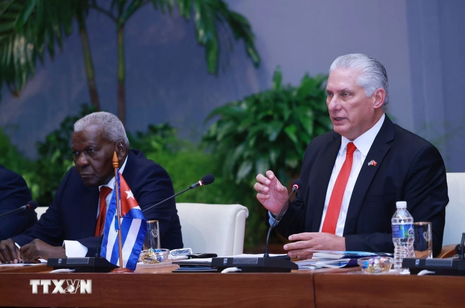 Tong Bi thu To Lam anh 4