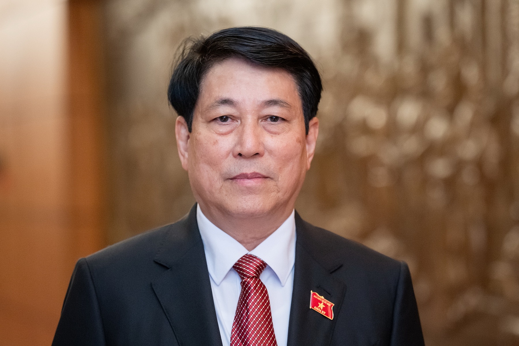 Tieu su tan Chu tich nuoc Luong Cuong hinh anh