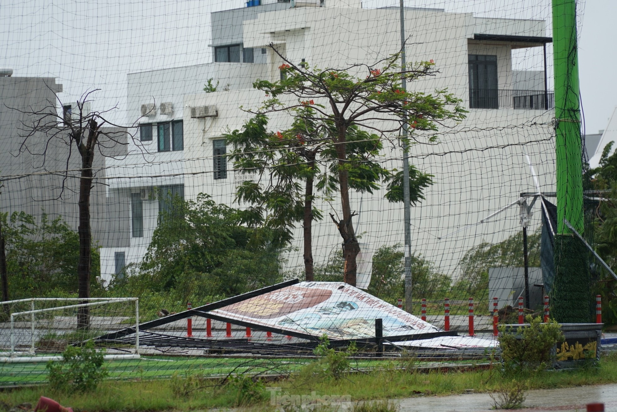 Bao o Da nang anh 10