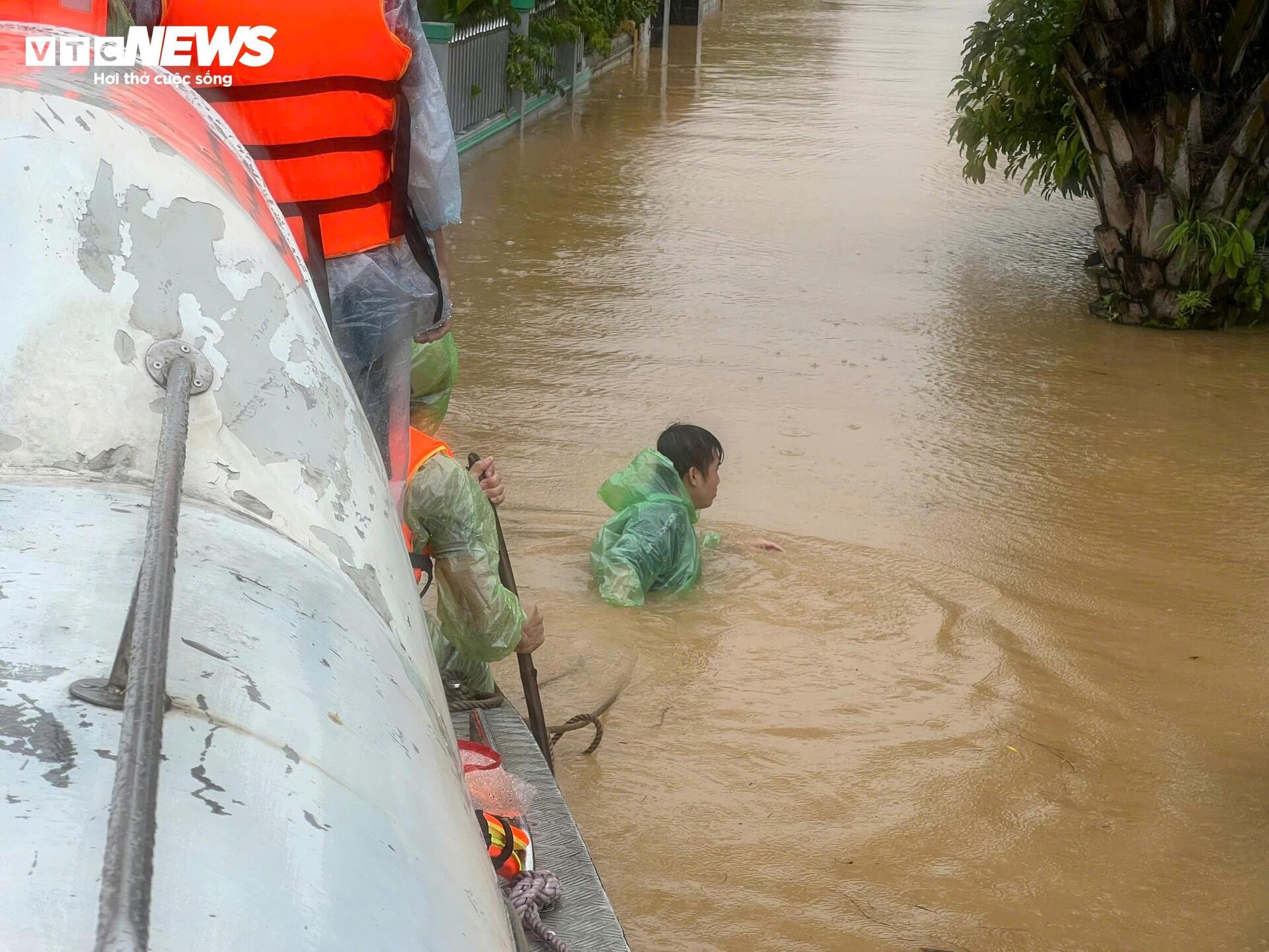 Lu Quang Binh anh 12
