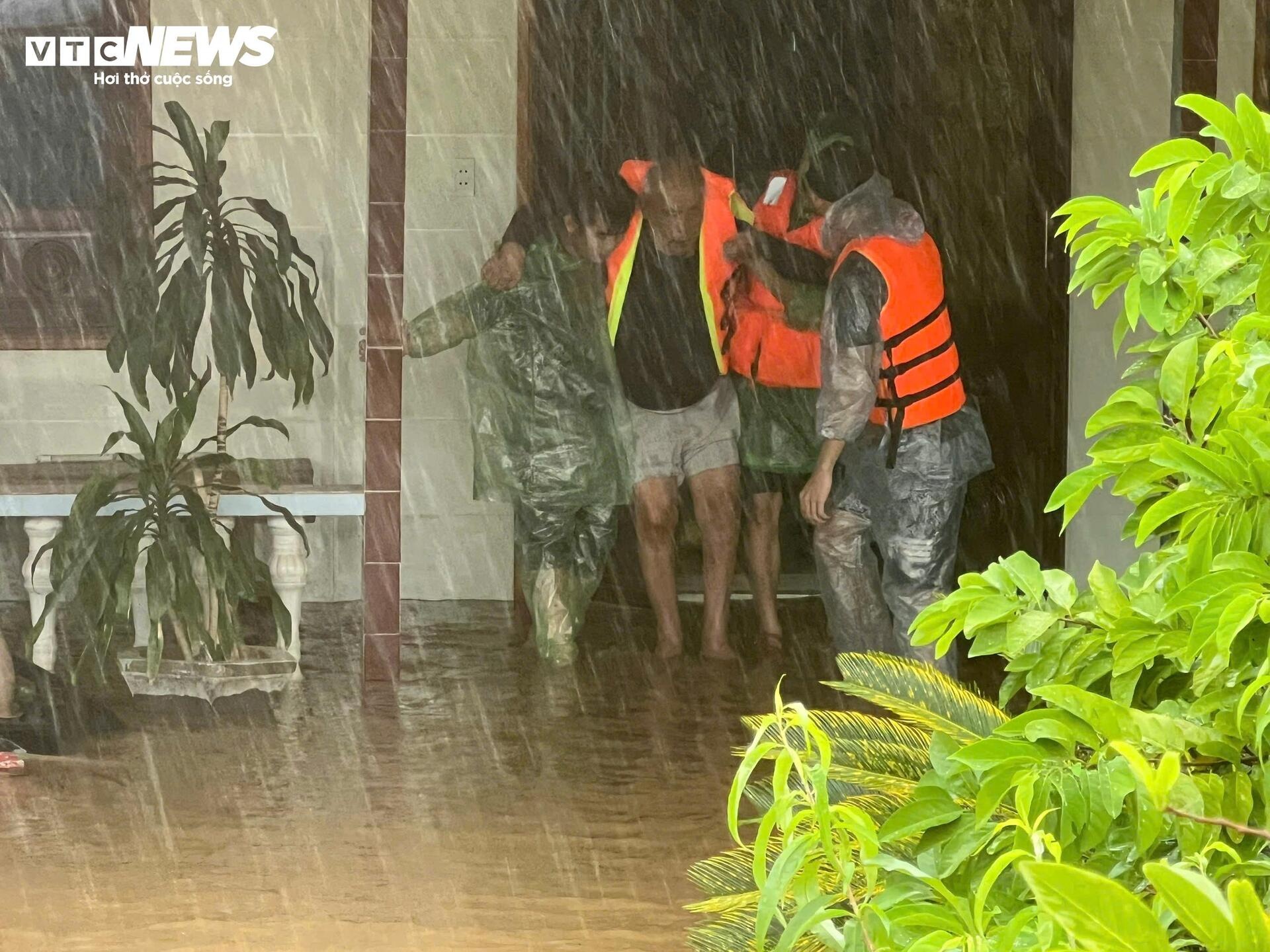 Lu Quang Binh anh 13