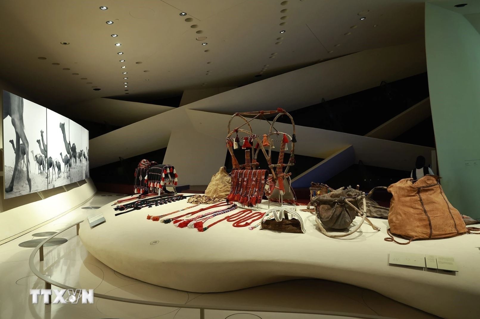 Thu tuong Pham Minh Chinh anh 6