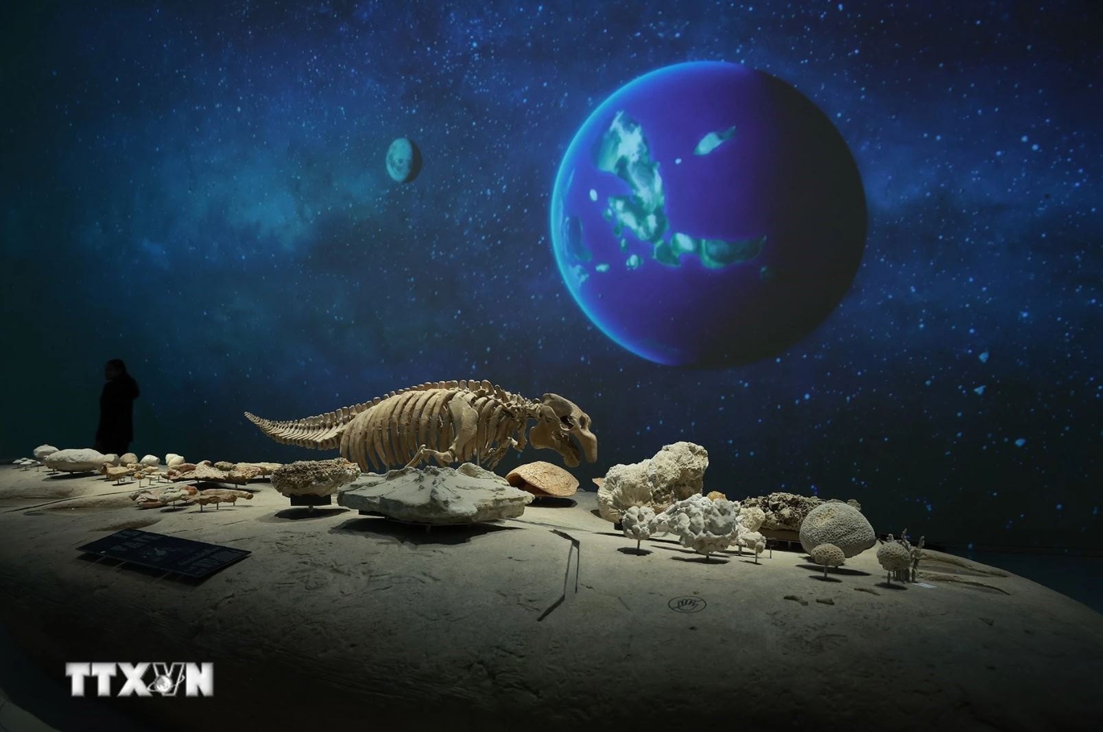 Thu tuong Pham Minh Chinh anh 7