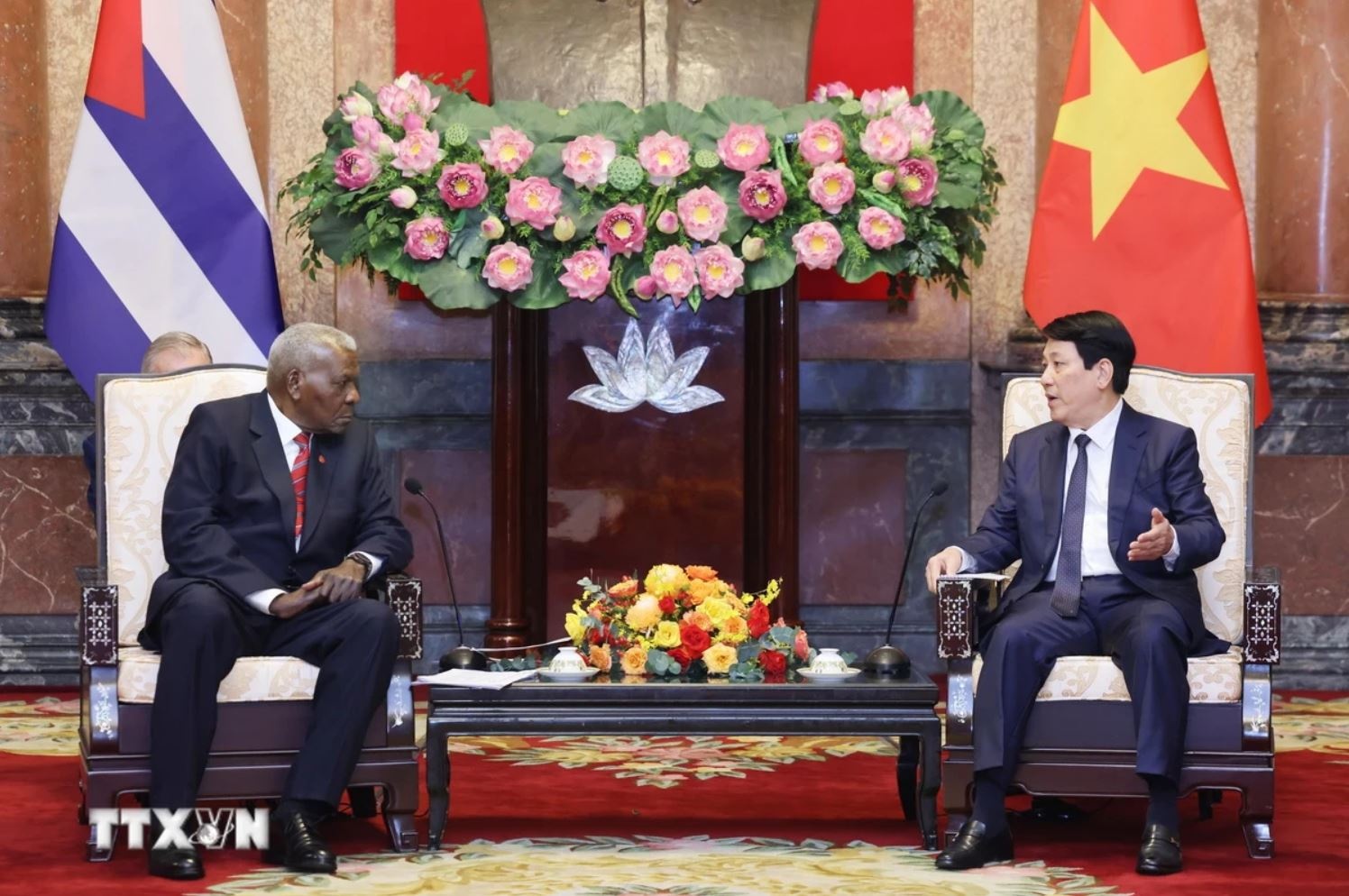 Chu tich nuoc Luong Cuong anh 4