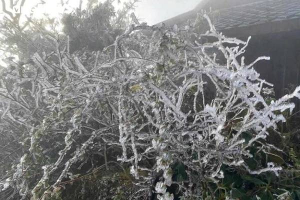 Bang gia bao phu dinh Fansipan hinh anh