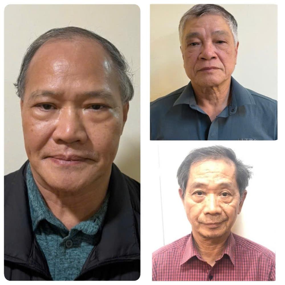 Hoang Van Thang,  Cong ty Hoang Dan,  Cty Song Da 5 anh 1