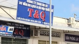 Tim nguoi lien quan den vu an lua dao tai Cong ty Du hoc Quoc te T&Q hinh anh