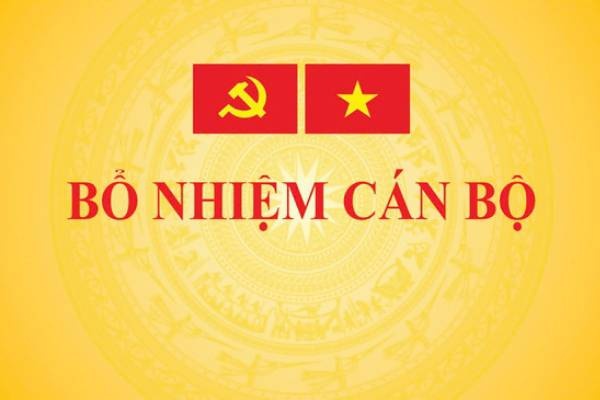 Bo nhiem Pho Chu nhiem Van phong Chinh phu hinh anh