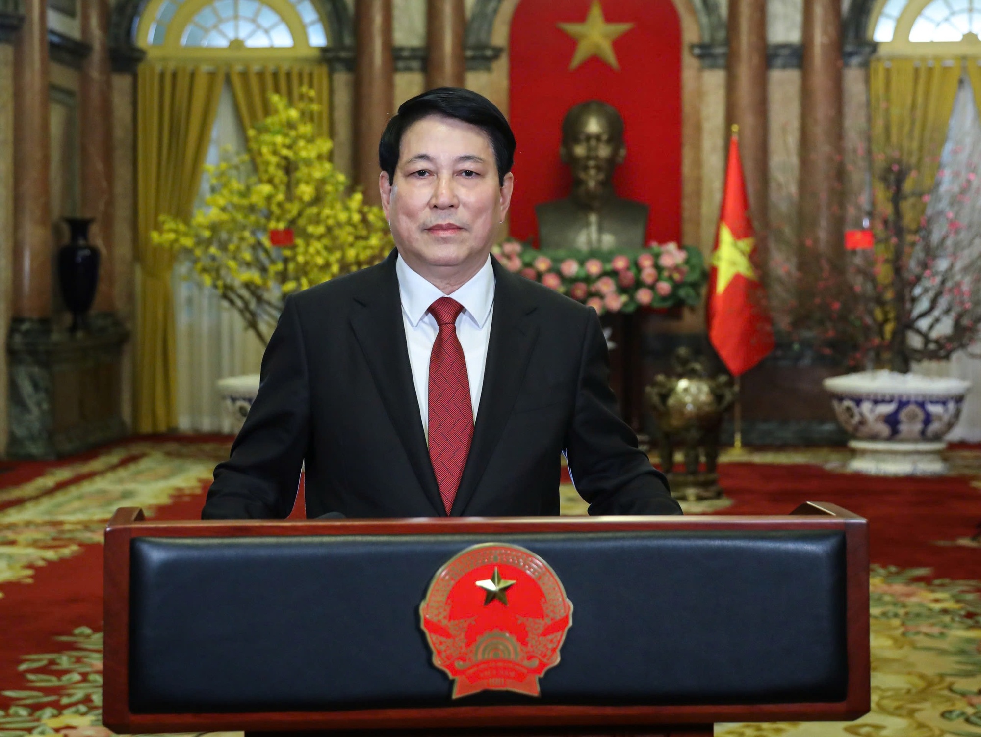 Loi chuc Tet Nguyen dan At Ty cua Chu tich nuoc Luong Cuong hinh anh