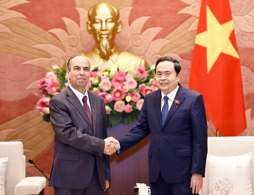 Dai su cac nuoc chia se cam xuc ve ngay Tet Viet Nam hinh anh