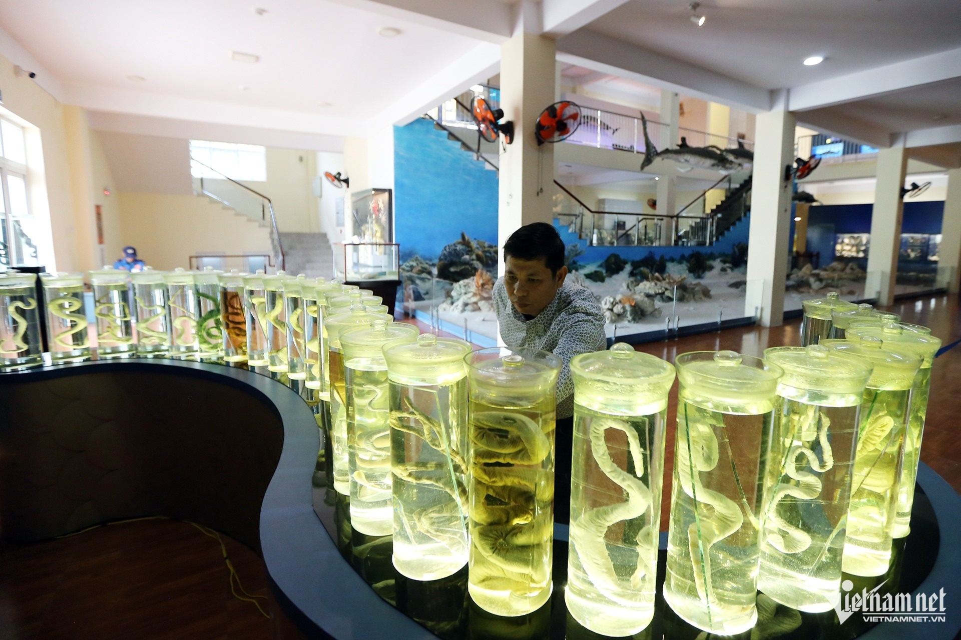 Ran bien,  Cao Van Nguyen,  Vien Hai duong hoc anh 3