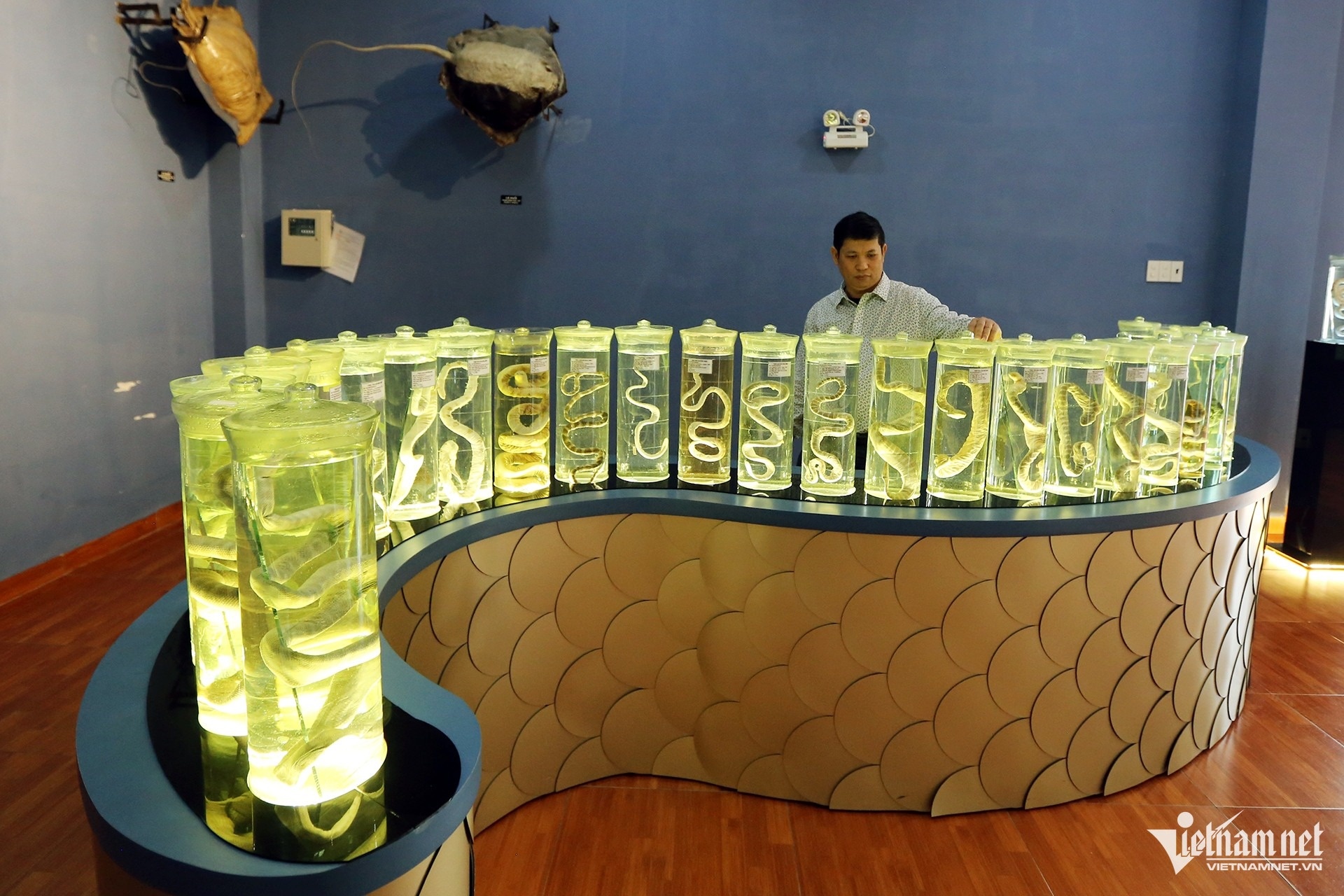 Ran bien,  Cao Van Nguyen,  Vien Hai duong hoc anh 1