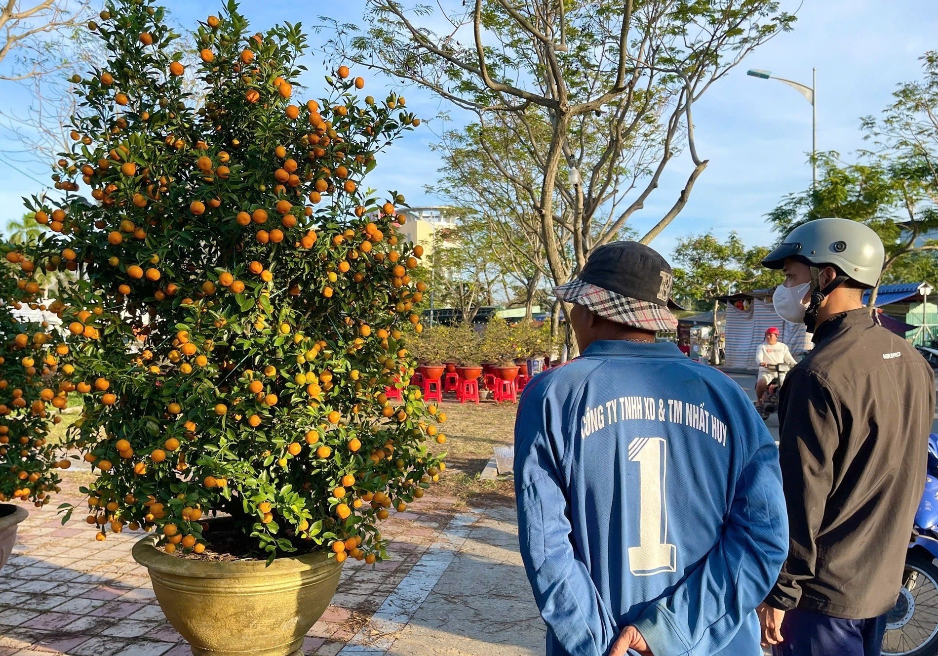 Cach lam dac biet de xu ly quat canh bo di sau Tet Nguyen dan hinh anh