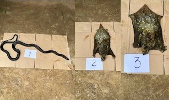 ho mang chua,  chon bay anh 2