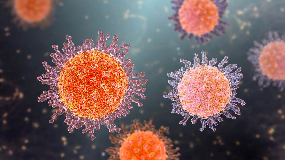 WHO bac thong tin ve virus la o Nga hinh anh