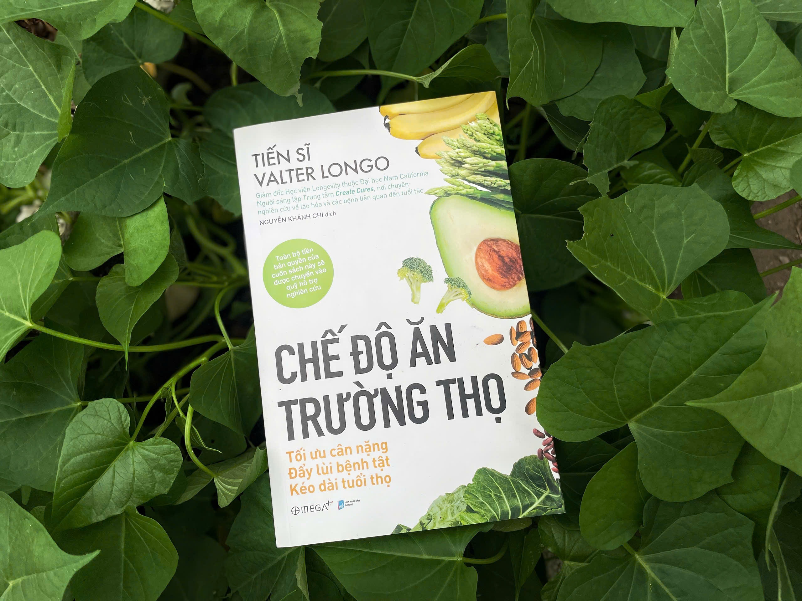 An gi de khoe manh, song lau? hinh anh