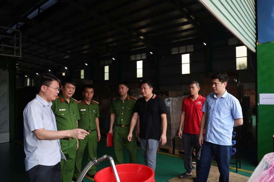 Famimoto Viet Nam Phu Tho anh 10