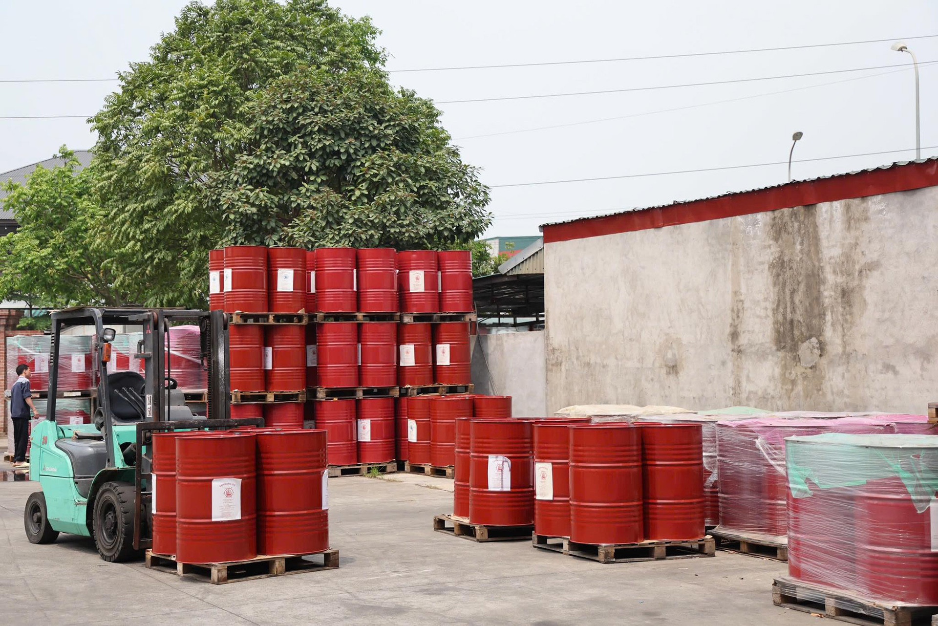 Famimoto Viet Nam Phu Tho anh 4