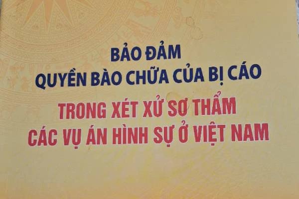 vu an hinh su anh 1