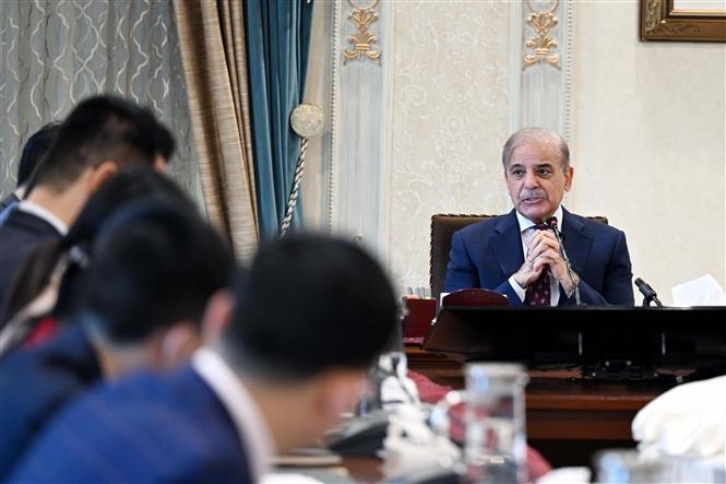 Pakistan dap tra vu tan cong quan su cua An Do, cang thang leo thang hinh anh