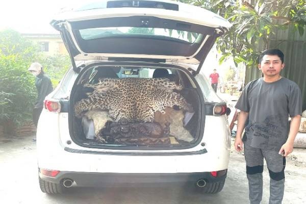 Khoi to tai xe Mazda CX5 cho bo da bao hoa mai di ban hinh anh